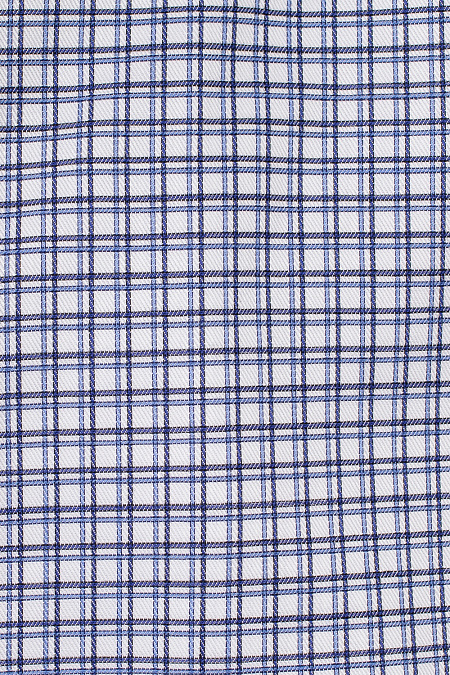 Модная мужская рубашка в клетку с длинным рукавом  арт. SL 902020 RL CEL 0191/182037 от Meucci (Италия) - фото. Цвет: Сине-белая клетка. Купить в интернет-магазине https://shop.meucci.ru

